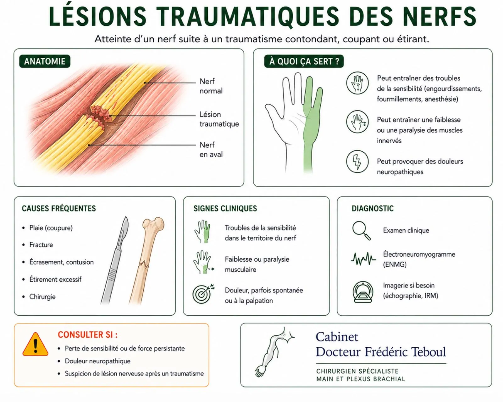 Lésions traumatiques des nerfs : nerf normal, lésion traumatique et nerf en aval, causes fréquentes, signes cliniques et examens de diagnostic — Dr Frédéric Teboul, chirurgien spécialiste de la main, des nerfs et du plexus brachial à Paris